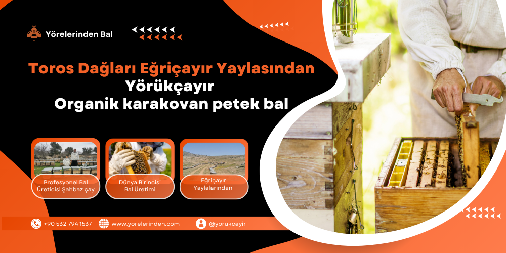 Organik karakovan petek bal