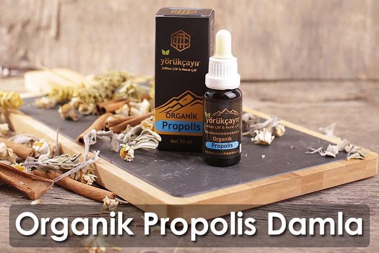 Organik Propolis damla Yörükçayır